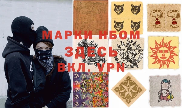 дмт Ельня
