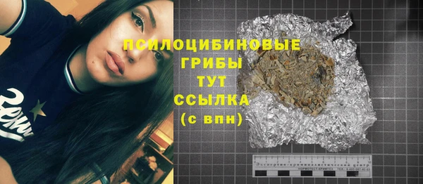 дмт Каменск-Шахтинский