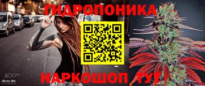 метадон Кингисепп