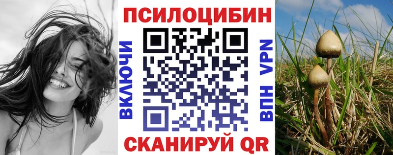 Галлюциногенные грибы Psilocybe  Куйбышев 